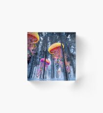 Neuer Winterwald der elektrischen Quallen-Welten Acrylblock