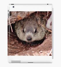 Groundhog III iPad Case/Skin