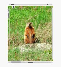 Groundhog iPad Case/Skin
