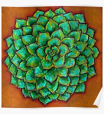 Succulent Mandala Poster