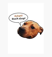 Adopt! Don't shop! Photographic Print