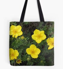 Burren Flowers Tote Bag