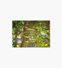 The Rocky Pathway Art Board