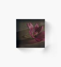 Discrete Eventide Acrylic Block