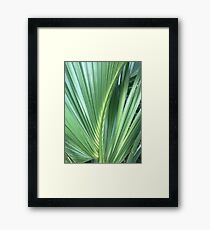 Palme Gerahmtes Wandbild