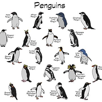 Typex  Penguin Libros