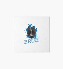 Pit Bruh Art Board