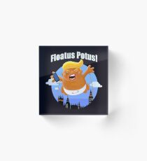 Trump Inflatable Baby Blimp Floating England Scotland Acrylic Block