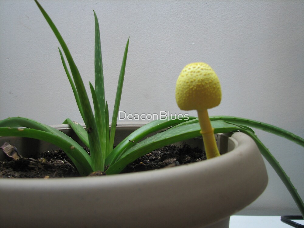 "Yellow Mushroom and Aloe Vera" by DeaconBlues Redbubble