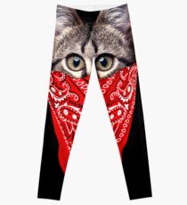 Gangster Cat Leggings