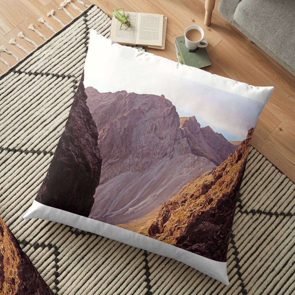 From The Great Stone Chute Floor Pillow