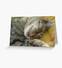 Sleeping Greeting Card