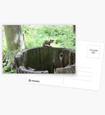 "So's your old man!!!" Postcards