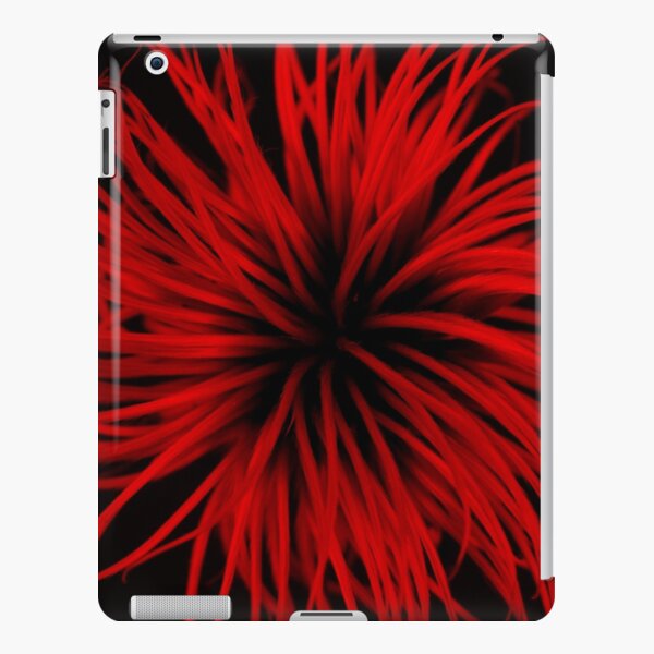 Explosions in nature iPad Snap Case