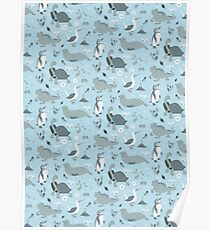 Galapagos Pattern Blue Poster