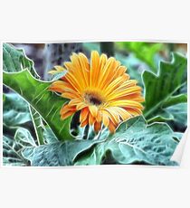 FRACTALIUS DAISY Poster
