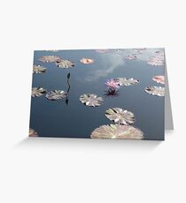 Lilie und Lotus 2 Grußkarte