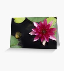 Lilie & Lotus 3 Grußkarte