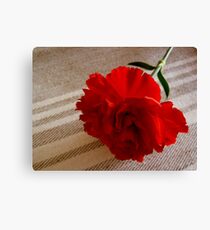 Carnation Leinwanddruck