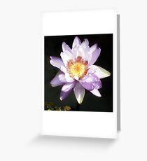 Lilie und Lotus 6 Grußkarte