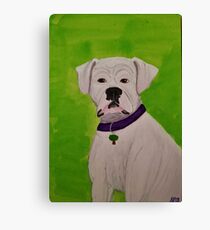 Boxer Dog Canvas Print