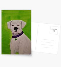Boxer Dog Postcards