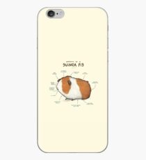 Anatomie eines Meerschweinchens iPhone-Hülle & Cover