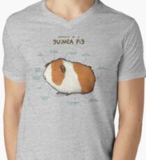 Camiseta para hombre de cuello en v Anatomía de un conejillo de Indias