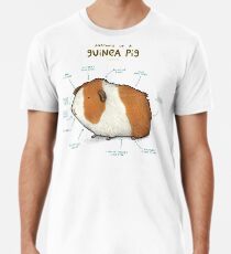 Anatomy of a Guinea Pig Men's Premium T-Shirt