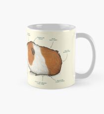 Anatomy of a Guinea Pig Mug