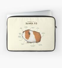 Anatomy of a Guinea Pig Laptop Sleeve