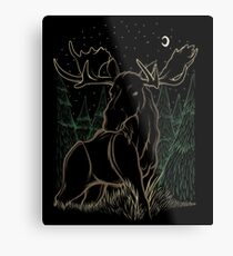 Canadian Bull Moose Metal Print