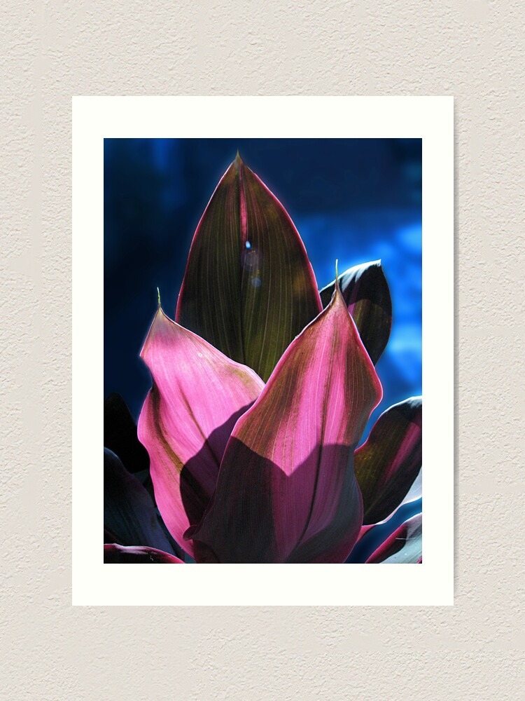 Alternate view of Tropical Foliage Art Print
