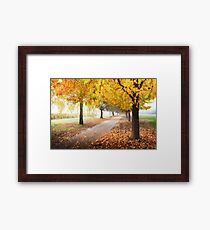 Bright Autumn Colours Framed Print