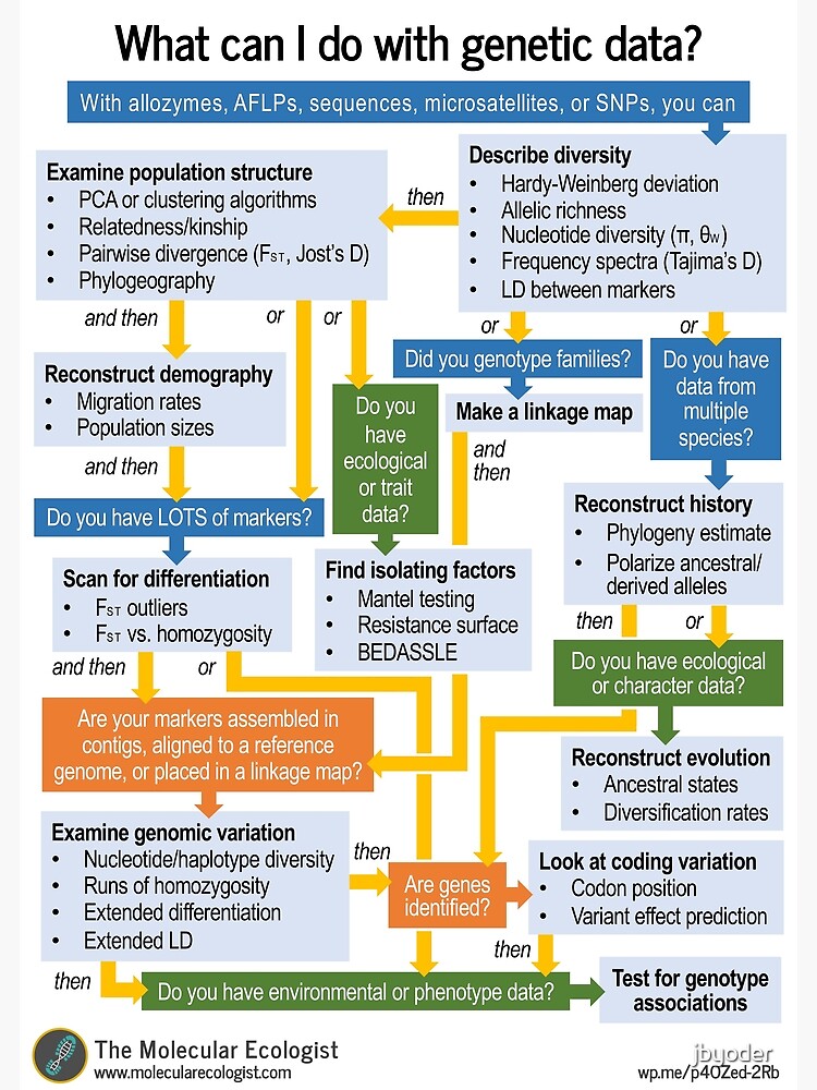 "Molecular Ecology, the Flowchart" Poster by jbyoder | Redbubble