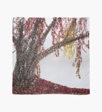 Willow in Red Scarf