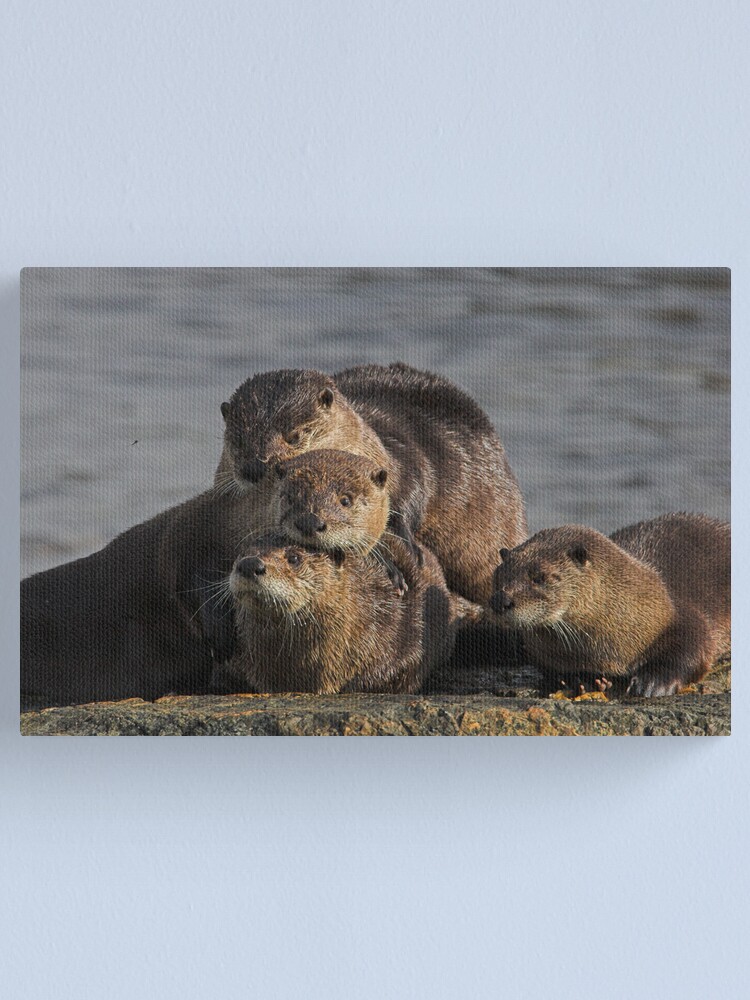 Alternate view of Whole Otter Love Canvas Print