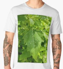 Refreshing Men's Premium T-Shirt