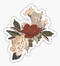 shawn// Sticker