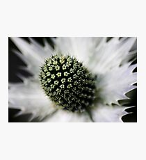 Heart of the White Explosion Photographic Print