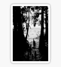 Cypress Silhouette Sticker