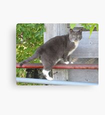 Gandalf Canvas Print