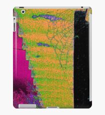 Cobweb colorful iPad Case/Skin