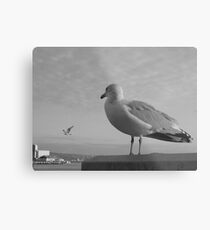 Outsider Metal Print