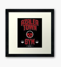 Azalea Town Gym Framed Print