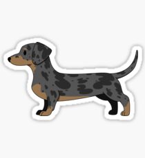 Silver Dapple Smooth Sticker