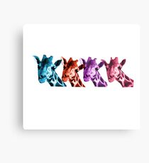 Giraffe Funny Color Heads Shirt Metal Print