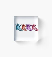 Giraffe Funny Color Heads Shirt Acrylic Block