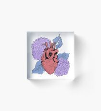 Antisocial Acrylic Block