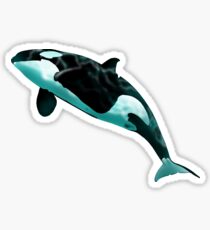 Orca Sticker